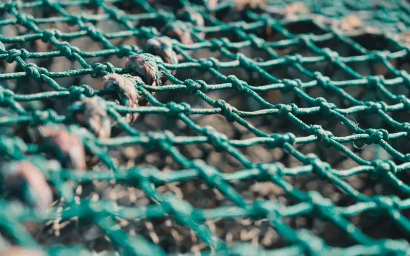 Green net of a lobster pot in St Andrews harbour