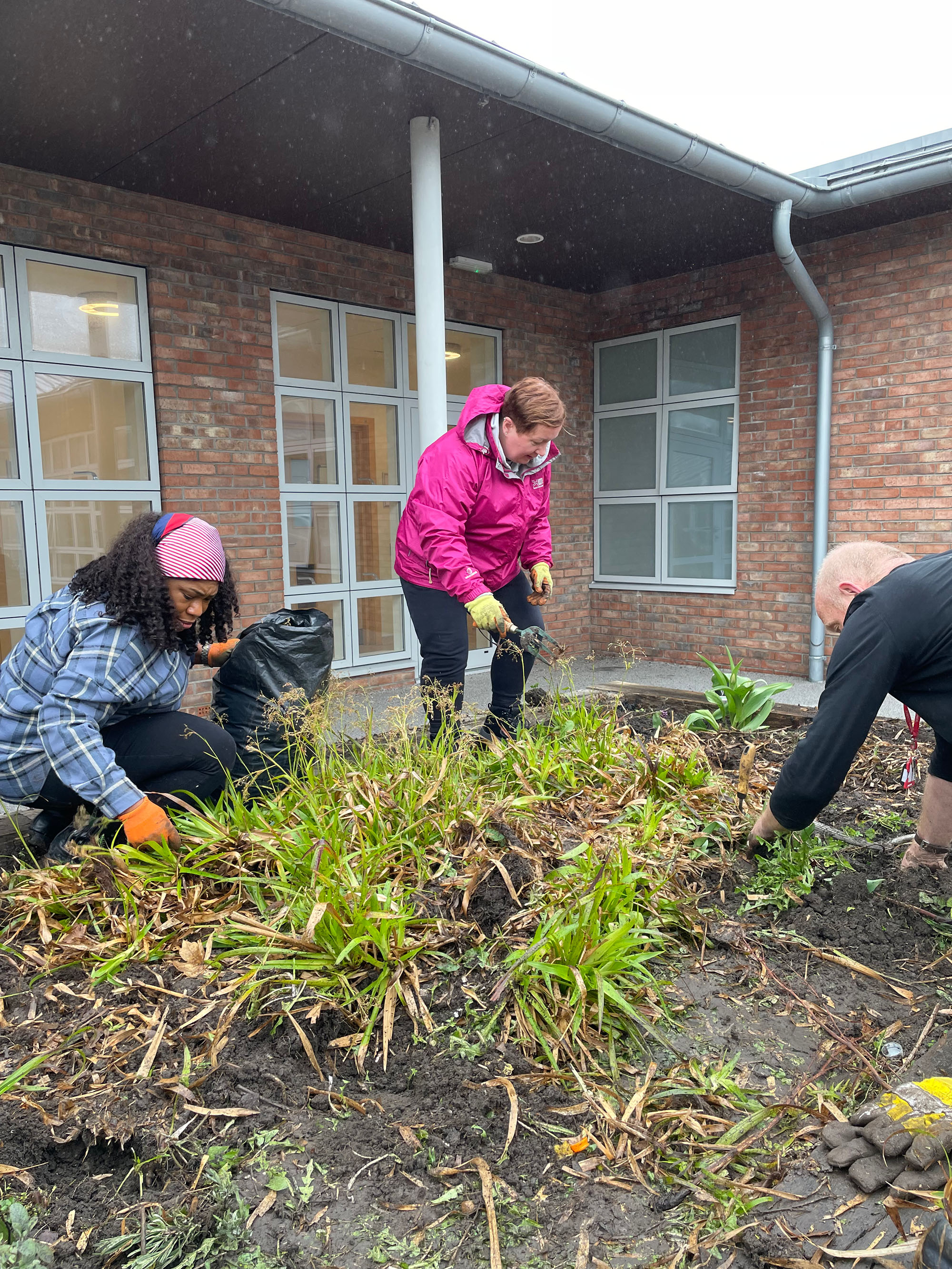 Three people wearing gardening gloves and holding garden tools stand on an overgrown planter