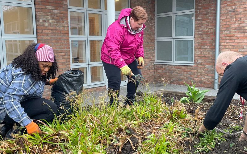 Three people wearing gardening gloves and holding garden tools stand on an overgrown planter