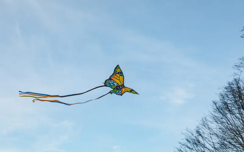 A colourful butterfly kite flies against a blue sky