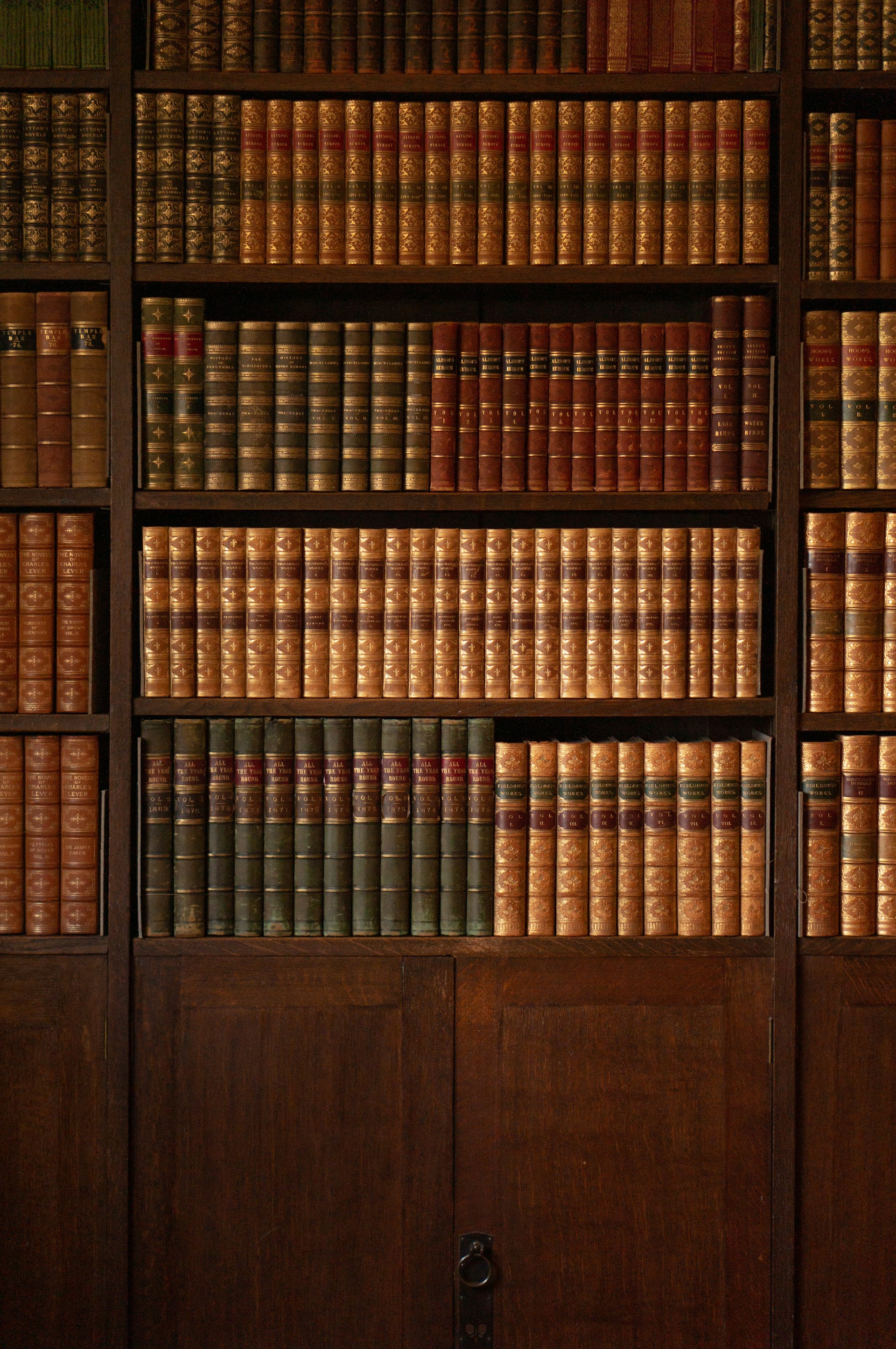 A bookcase full of books