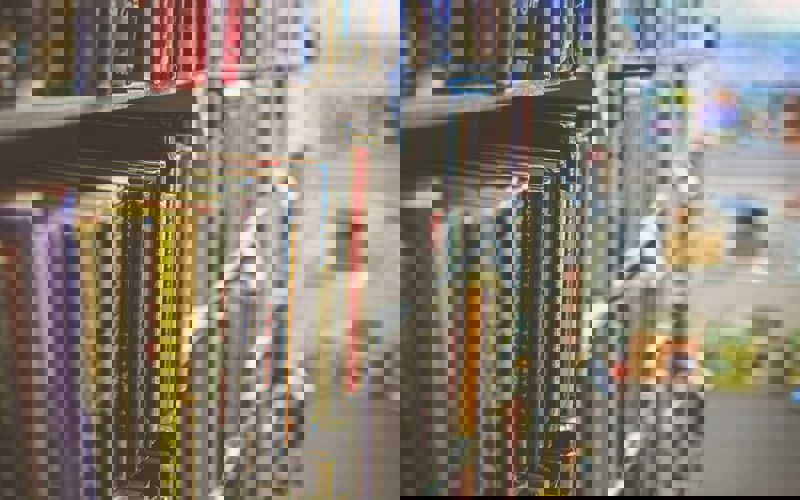 Book Shelves 2