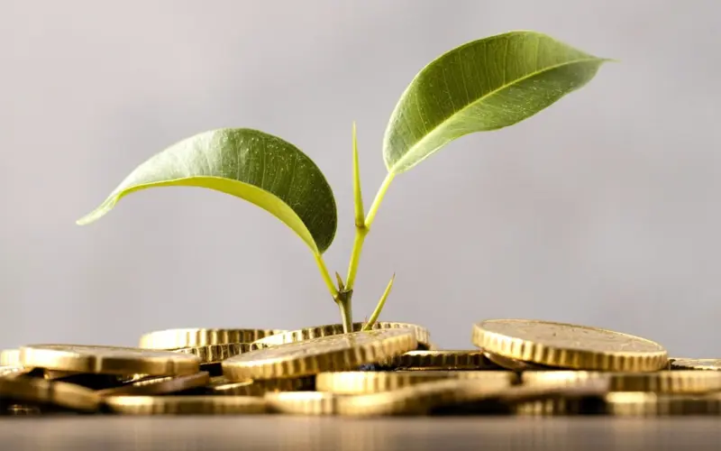 Plant Growing From Coins 2 Socials Card