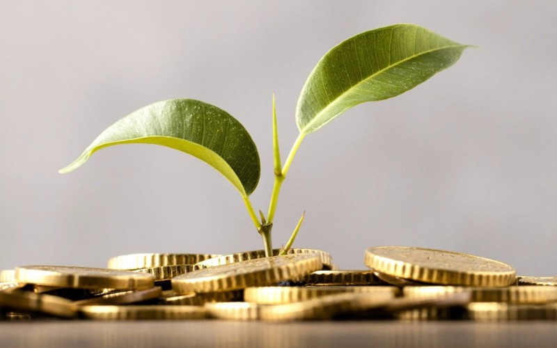 Plant Growing From Coins 2 Socials Card