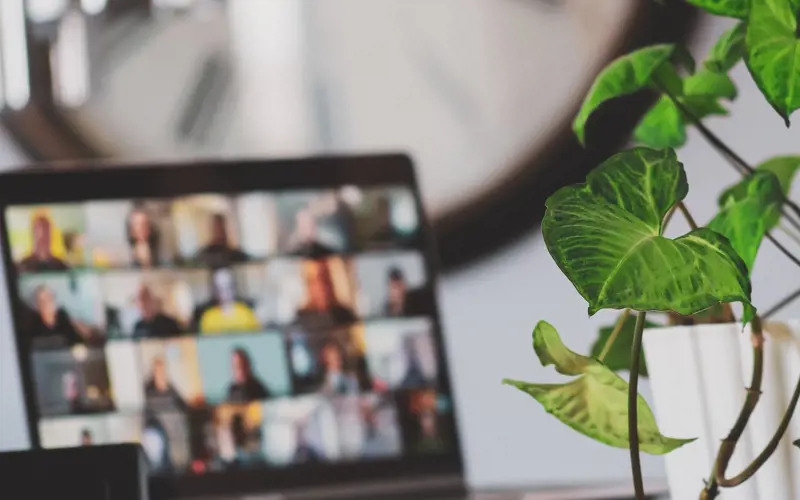 Plant leaves in focus with a laptop screen showing an online meeting in the background