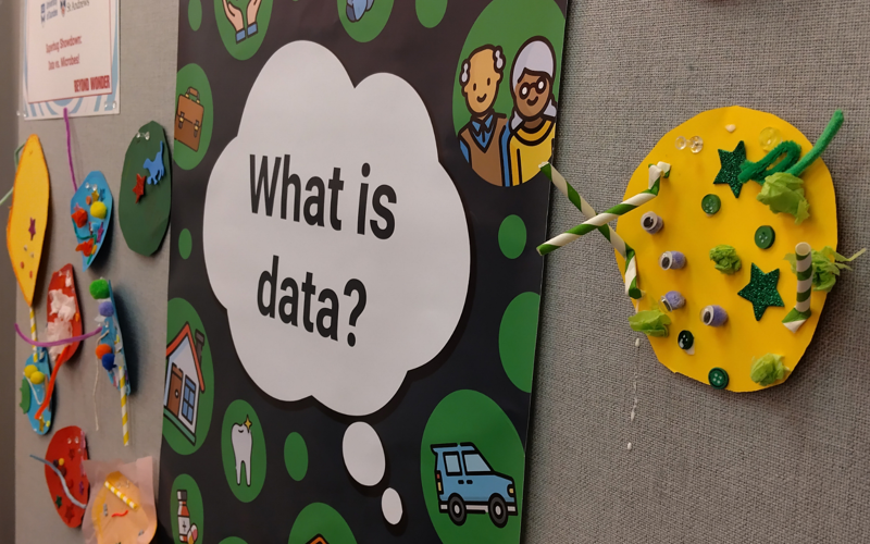 What is Data? poster activity 