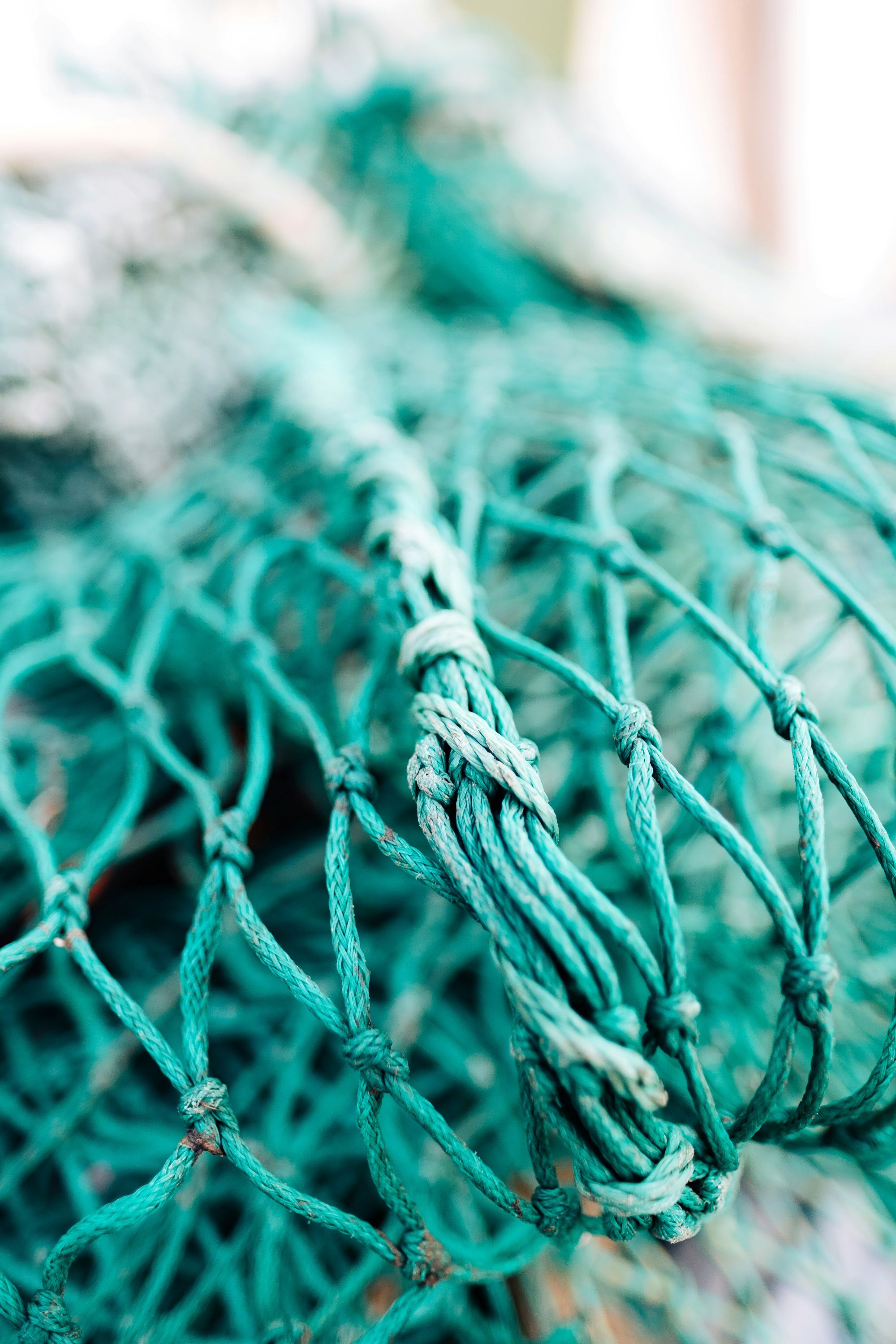 Close up photo of a blue fishing net